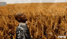 Bhm - R.Kelly - I Beleive I Can Fly GIF - R Kelly I Believe I Can Fly Field GIFs