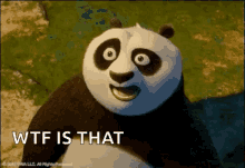 Wtf Disney GIF - Wtf Disney Panda GIFs