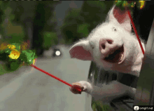 Piggy Be Being High Bye Thomas Crouch GIF - Piggy Be Being High Bye Thomas Crouch Pig GIFs