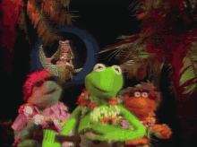 Muppets Muppet Show GIF - Muppets Muppet Show Ukulele GIFs