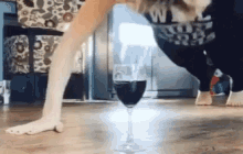 Exercise Pushups GIF - Exercise Pushups Wine GIFs