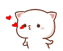 cat heart
