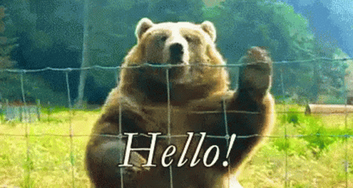 Hi There Wave GIF - Hi There Wave Hello - Discover &amp; Share GIFs