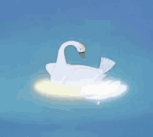 Swan Transform GIF - Swan Transform Lake GIFs