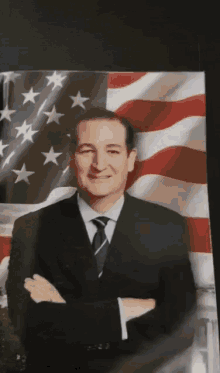 ted cruz the bill of rights flip page book
