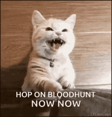 Hop On Bloodhunt GIF - Hop On Bloodhunt Bloodhunt Hop GIFs