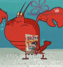Chachitos Larry GIF - Chachitos Larry Lo Maximo GIFs