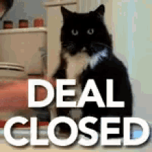 Bizkitty Closing Deals GIF - Handshake Deal Closed Business Cat GIFs