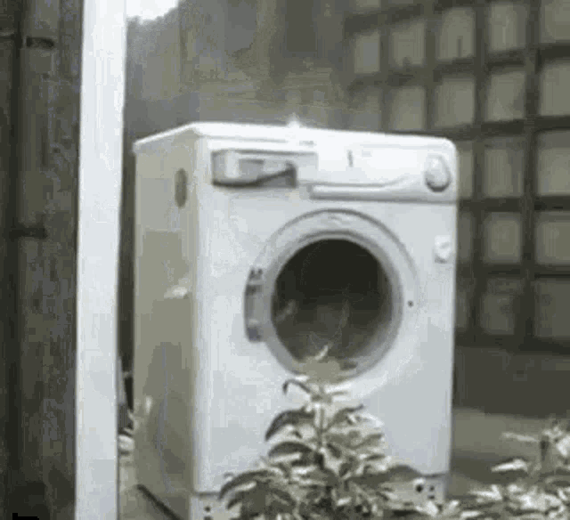Washing Machine Rock GIF - Washing Machine Rock Shake GIFs
