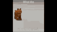 what the dog doin tho what the dog doin tho