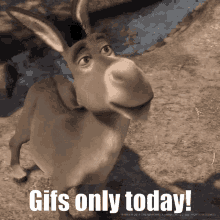 Today Gif GIF - Today Gif Only Gif GIFs