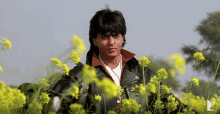 बाँहोंमेंआजा Shah Rukh Khan GIF - बाँहोंमेंआजा Shah Rukh Khan Raj GIFs