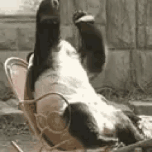 Panda Funny Animals GIF - Panda Funny Animals Hard Day GIFs