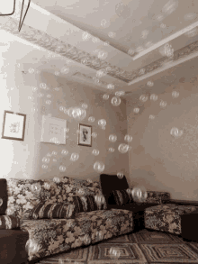 Bubbles Living Room GIF - Bubbles Living Room GIFs