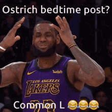Common W Ostrich Ostrich Bedtime Post GIF - Common W Ostrich Ostrich Bedtime Post Common L Ostrich GIFs