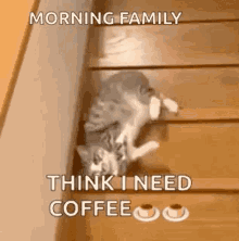 Need Coffee Lazy GIF - Need Coffee Lazy Morning GIFs