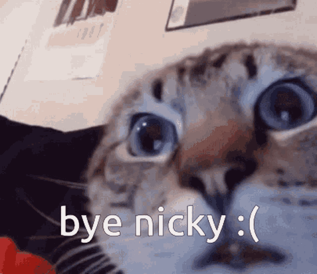 Bye Bye Nicky GIF - Bye Bye Nicky Nicky GIFs