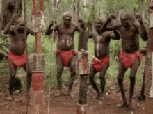 Going For Testing Tribe GIF - Going For Testing Tribe Dance GIFs