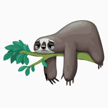 Sloth Being Lazy Sad GIF - Sloth Being Lazy Sad GIFs
