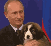 普京 亲吻 狗狗 可爱 GIF - Putin Kiss Puppy GIFs