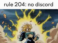Rule204 Dragon Ball GIF - Rule204 Dragon Ball Discord Rules GIFs