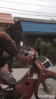 daredevil tricks showy motorcycle cool