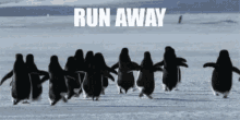 On The Run GIF - On The Run Run Run Away GIFs