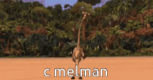 C Melman GIF - C Melman GIFs