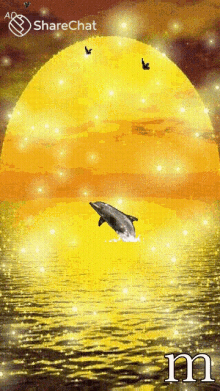 डॉल्फ़िन मछली GIF - डॉल्फ़िन मछली समंदर GIFs