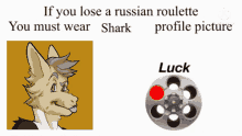 profile shark