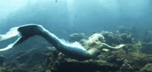 Swimming Mermaid GIF - तैरती जलपरी Underwater GIFs