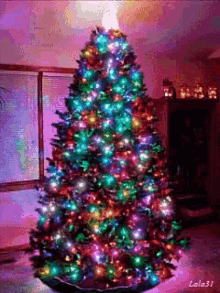 lights tree