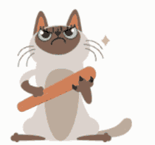 Cat Angry GIF - Cat Angry Pissed GIFs