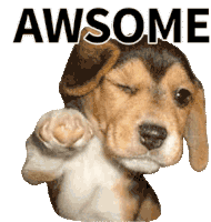 Awesome Wink Sticker - Awesome Wink Dog Stickers