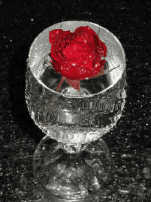Rose Shimmering GIF - Rose Shimmering Glass GIFs