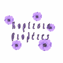 girls boys stilovates violets
