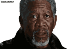Morgan Freeman Really GIF - Morgan Freeman Really GIFs