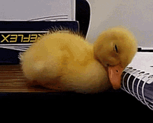 Sleepy Baby GIF - Sleepy Baby Duck GIFs