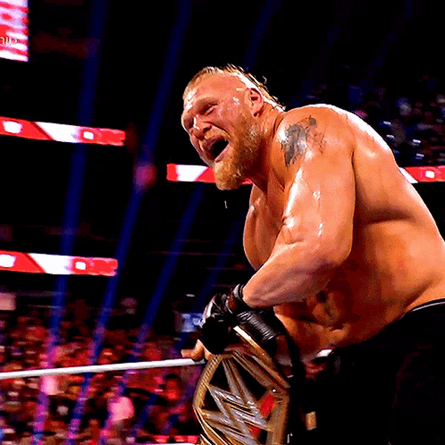 WWE RAW 307 DESDE VALLADOLID Brock-lesnar-wwe-champion