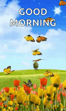 Good Morning Butterflies GIF - Good Morning Butterflies Good Day GIFs