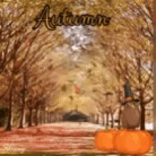 Falling Leaves GIF - Falling Leaves Autumn GIFs