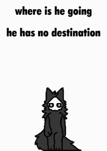 Where Is He Going He Has No Destination GIF - Where Is He Going He Has No Destination Puro GIFs