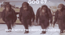 Gog Gog67 GIF - Gog Gog67 Gog And The Boys GIFs
