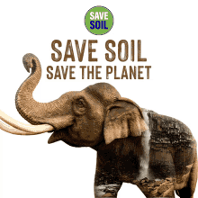 Save Soil Save The Planet GIF - Save Soil Save The Planet Conscious Planet GIFs