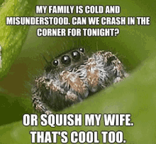 Spider Lol GIF - Spider Lol Roommate GIFs
