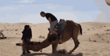 Fails Camel GIF - Fails Camel Fail GIFs