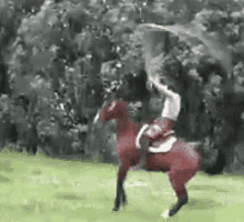 Outstanding Horse GIF - Outstanding Horse Jump Rope GIFs