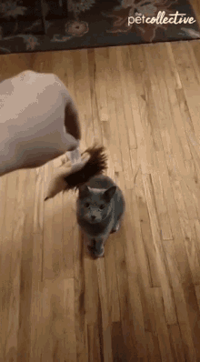 Fighting Bully GIF - Fighting Bully First Come First Serve GIFs