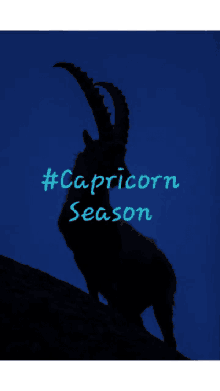 December Capricorn GIF - December Capricorn Season GIFs