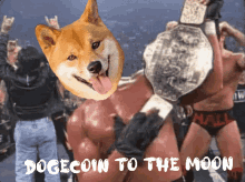 dogecoin champions dogecoin champions